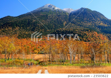 登山者正在秋葉Ozegahara和Mt. 登山者正在秋葉Ozegahara和Mt. 23503622