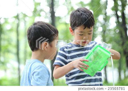 Child to take insects 23503781
