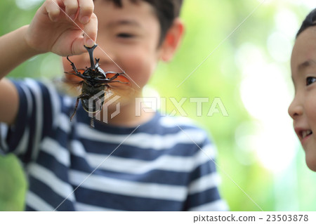 兒童捕獲甲蟲 23503878