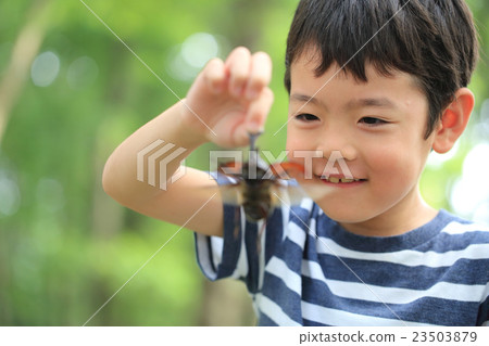 兒童捕獲甲蟲 23503879