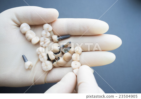 Variety of dentures in dentist hands 23504905