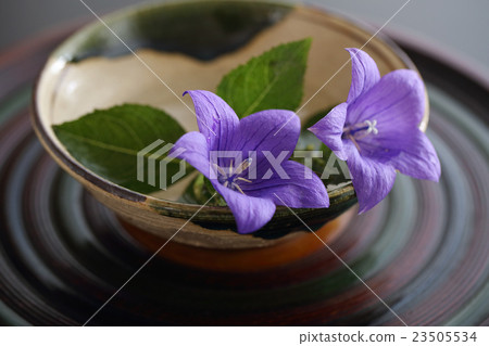 Kikyo and Oribe's summer cup Kikyo and Oribe's summer cup 23505534