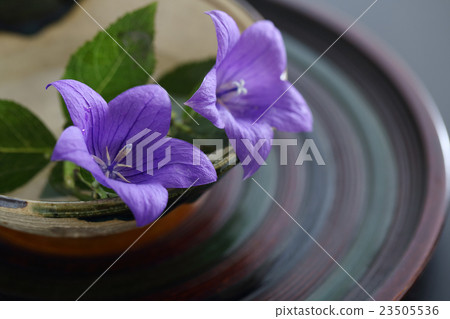 Kikyo and Oribe's summer cup Kikyo and Oribe's summer cup 23505536