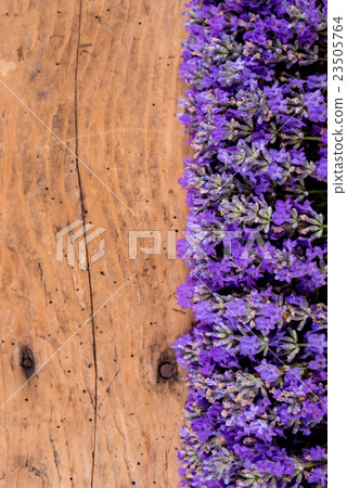 frame of lavender on a rustic wooden background frame of lavender on a rustic wooden background 23505764