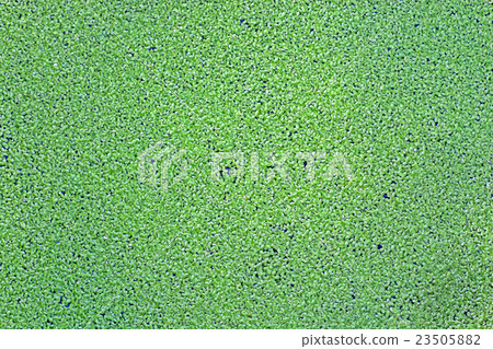 Float Float 23505882