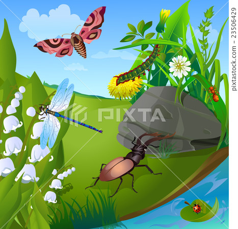vector summer illustration  insect 2 23506429
