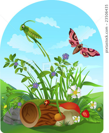 vector summer illustration  insect 2 23506435