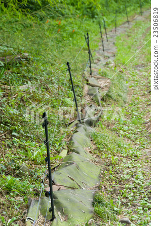 電圍欄 電圍欄 23506819