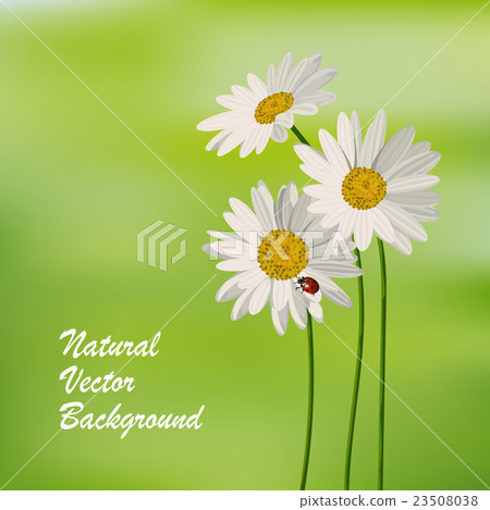 Natureal summer background Natureal summer background 23508038