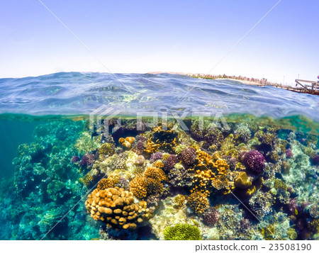 Underwater and surface split view in the tropics sea 23508190
