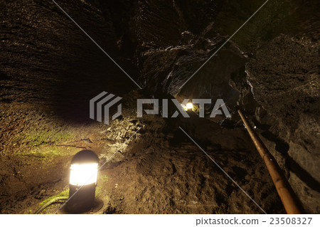 山梨縣西湖蝙蝠洞內 山梨縣西湖蝙蝠洞內 23508327