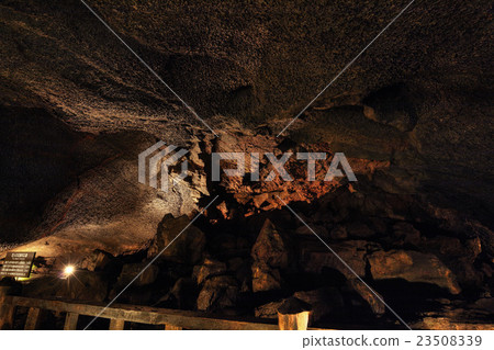 山梨縣西湖蝙蝠洞內 23508339