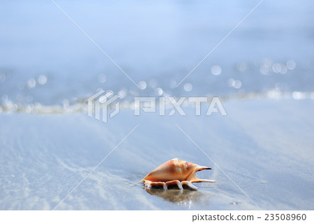 波光粼粼的波浪 波光粼粼的波浪 23508960