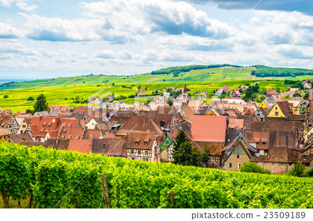 從Riquville山的頂部 23509189