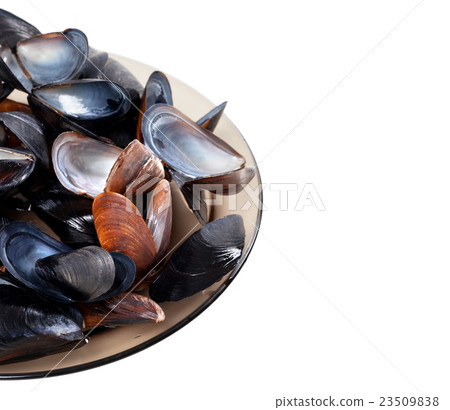 Shells of mussels on glass plate Shells of mussels on glass plate 23509838