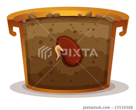 Seed germination in clay pot Seed germination in clay pot 23510388