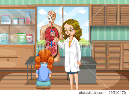 Doctor explaining human anatomy Doctor explaining human anatomy 23510470