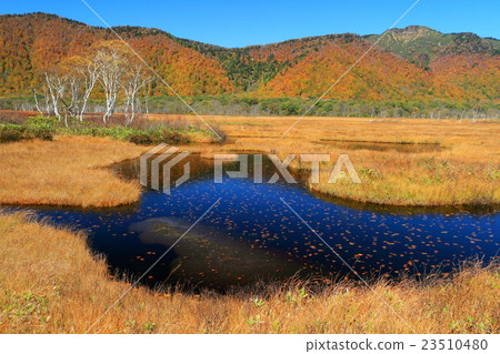 草秋葉Ozegahara和Hitoshiga浮動河 23510480