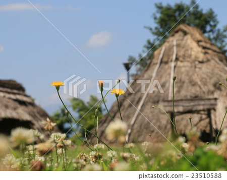 Heisei relics 23510588