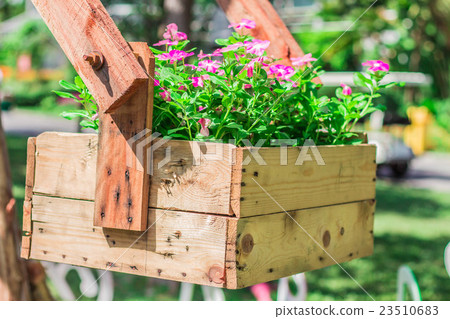 Potted flowers in park. Potted flowers in park. 23510683