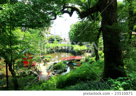 Sudo Park（7月）東京都文京區 23510871