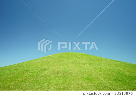 High ground of park · fresh green 23513976