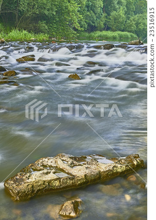 Rivers and trees Rivers and trees 23516915