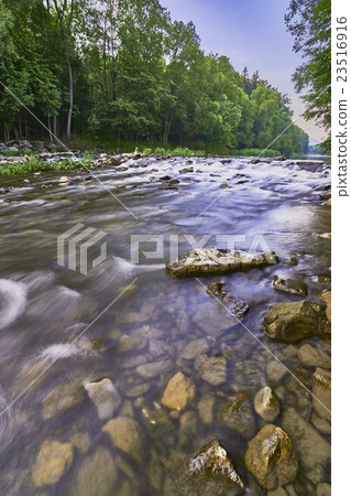Rivers and trees Rivers and trees 23516916