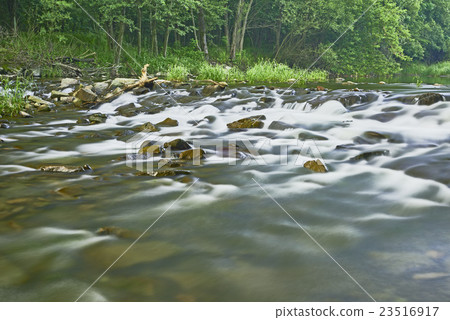 Rivers and trees Rivers and trees 23516917