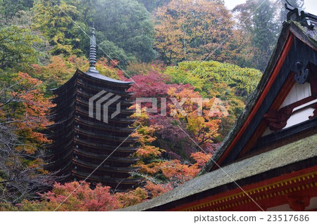 Daisyama Shrine Ten-storied塔秋葉 23517686