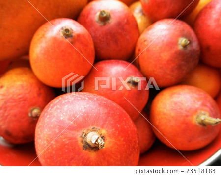 Fine Mini Mango Up Fine Mini Mango Up 23518183