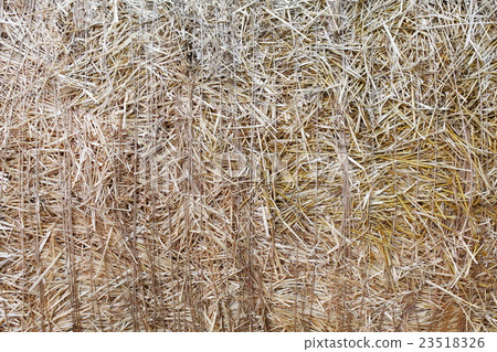 Dry straw closeup texture. Farming background Dry straw closeup texture. Farming background 23518326