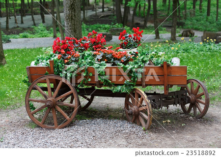 The cart with scarlet red geranium flowers in park 23518892