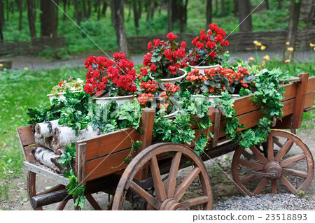 The cart with scarlet red geranium flowers in park 23518893