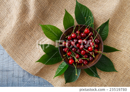 Sweet fresh cherries with green leaves on sack Sweet fresh cherries with green leaves on sack 23519780