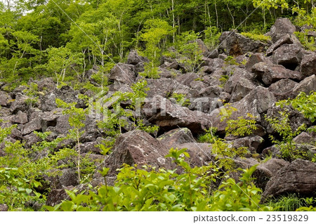 Shikaoi Town's Chitamachi Collapse 23519829