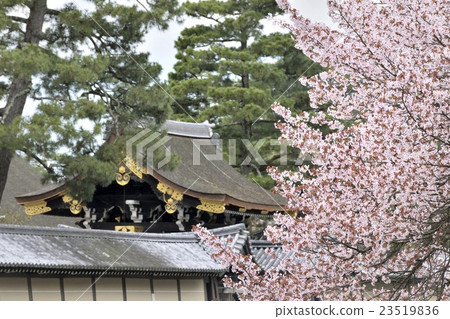 京都Miyuen京都故宮Shuheiemon Konoe Residence Branch Sakura 23519836