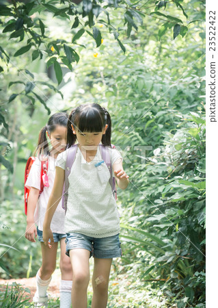 elementary student, primary school child, primary school student 23522422