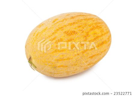 Melon 23522771