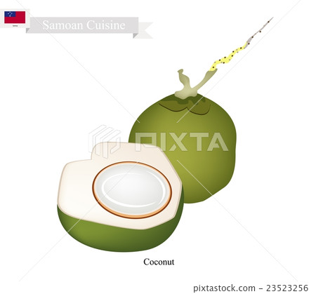 Fresh Coconut, A Famous Fruit in Samoa 23523256