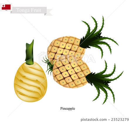 Fresh Pineapple, A Famous Fruit in Tonga 23523279