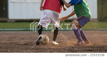 足球足球 足球足球 23523536