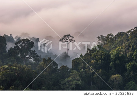 beautiful scenary of mist with mountain range at PanoenThung view point in Kaeng Krachan national park,Thailand 23525682