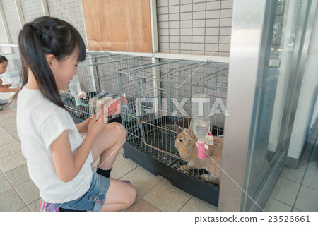 elementary student, primary school child, primary school student 23526661