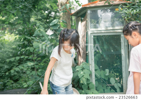 elementary student, primary school child, primary school student 23526663