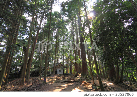 Kosmayama Oosugi Gokou Co.，Ltd 23527066