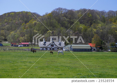 馬與地球 23528554