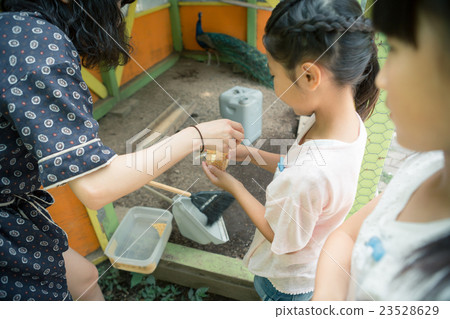 小學學生 小學生 小學 23528629