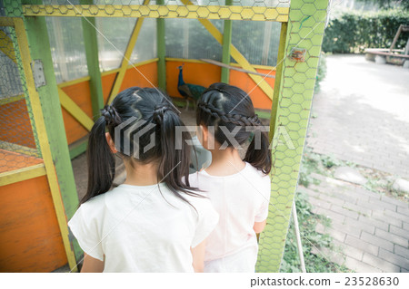 elementary student, primary school child, primary school student 23528630