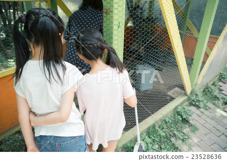 elementary student, primary school child, primary school student 23528636